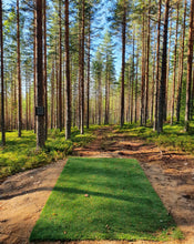 Lataa kuva Galleria-katseluun, Frisbeegolf tekonurmi