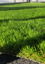 Lataa kuva Galleria-katseluun, Tekonurmi parvekkeelle tai terassille - Greenside-Tekonurmi